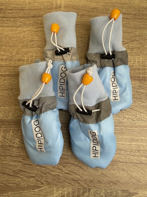 Odjeca za pse cipele za psa obuca za psa